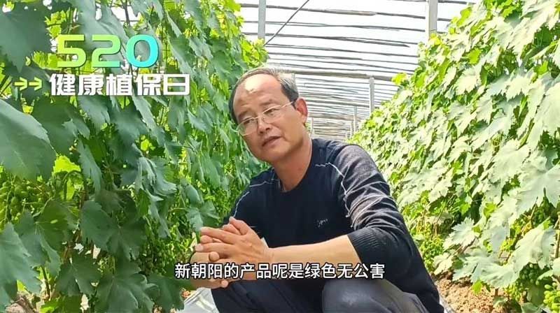 520健康植保日——擁抱綠色農(nóng)業(yè)，我們?cè)谛袆?dòng)
